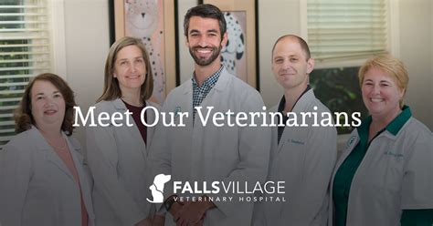 Contact Our Waynesboro Veterinarians at Tri